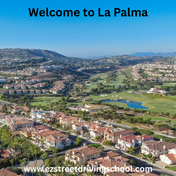 Driving Lessons in La Palma